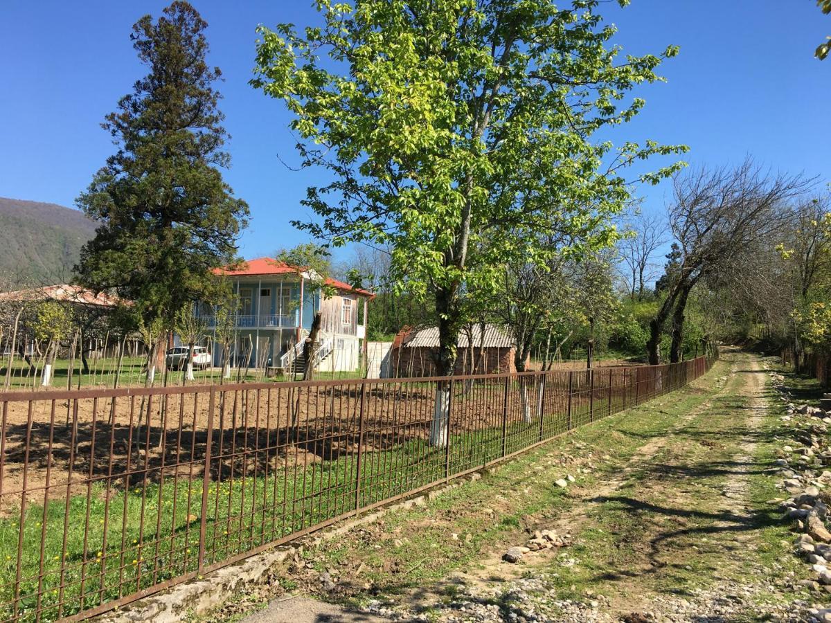 Martv'Elle Boutique Guesthouse Martvili Bagian luar foto