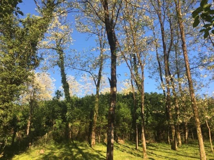 Martv'Elle Boutique Guesthouse Martvili Bagian luar foto