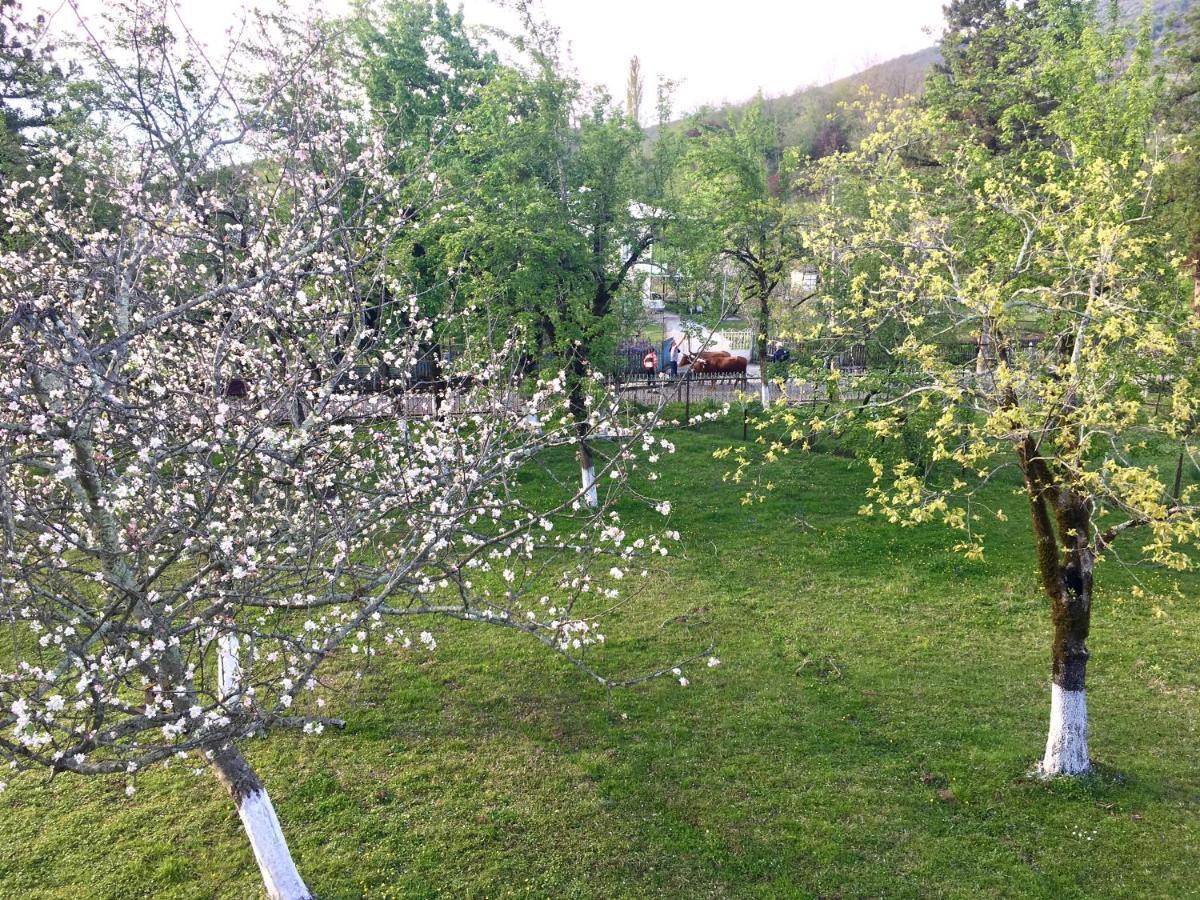 Martv'Elle Boutique Guesthouse Martvili Bagian luar foto