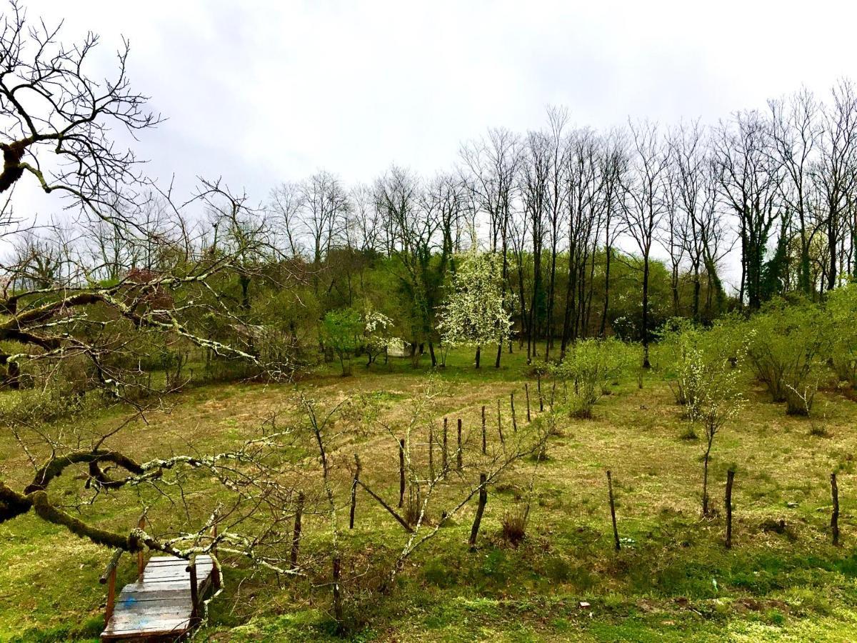 Martv'Elle Boutique Guesthouse Martvili Bagian luar foto
