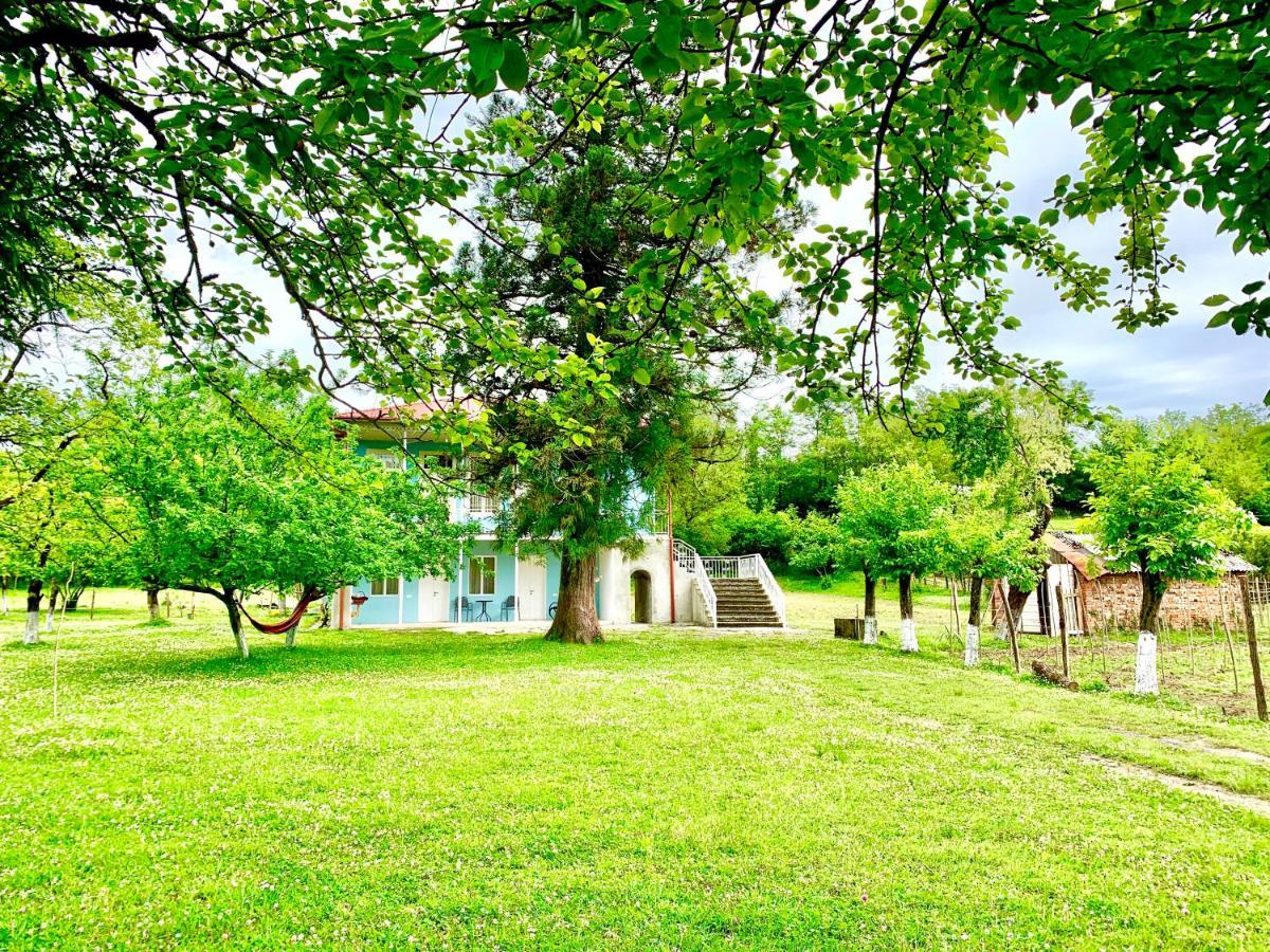 Martv'Elle Boutique Guesthouse Martvili Bagian luar foto