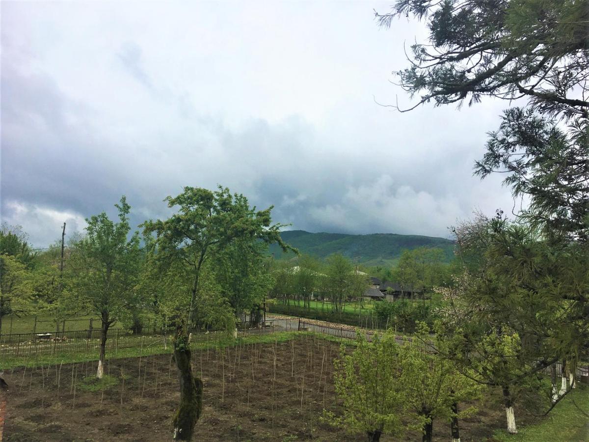 Martv'Elle Boutique Guesthouse Martvili Bagian luar foto