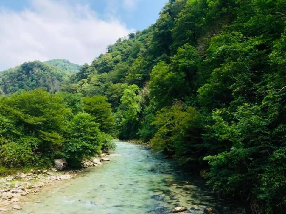 Martv'Elle Boutique Guesthouse Martvili Bagian luar foto
